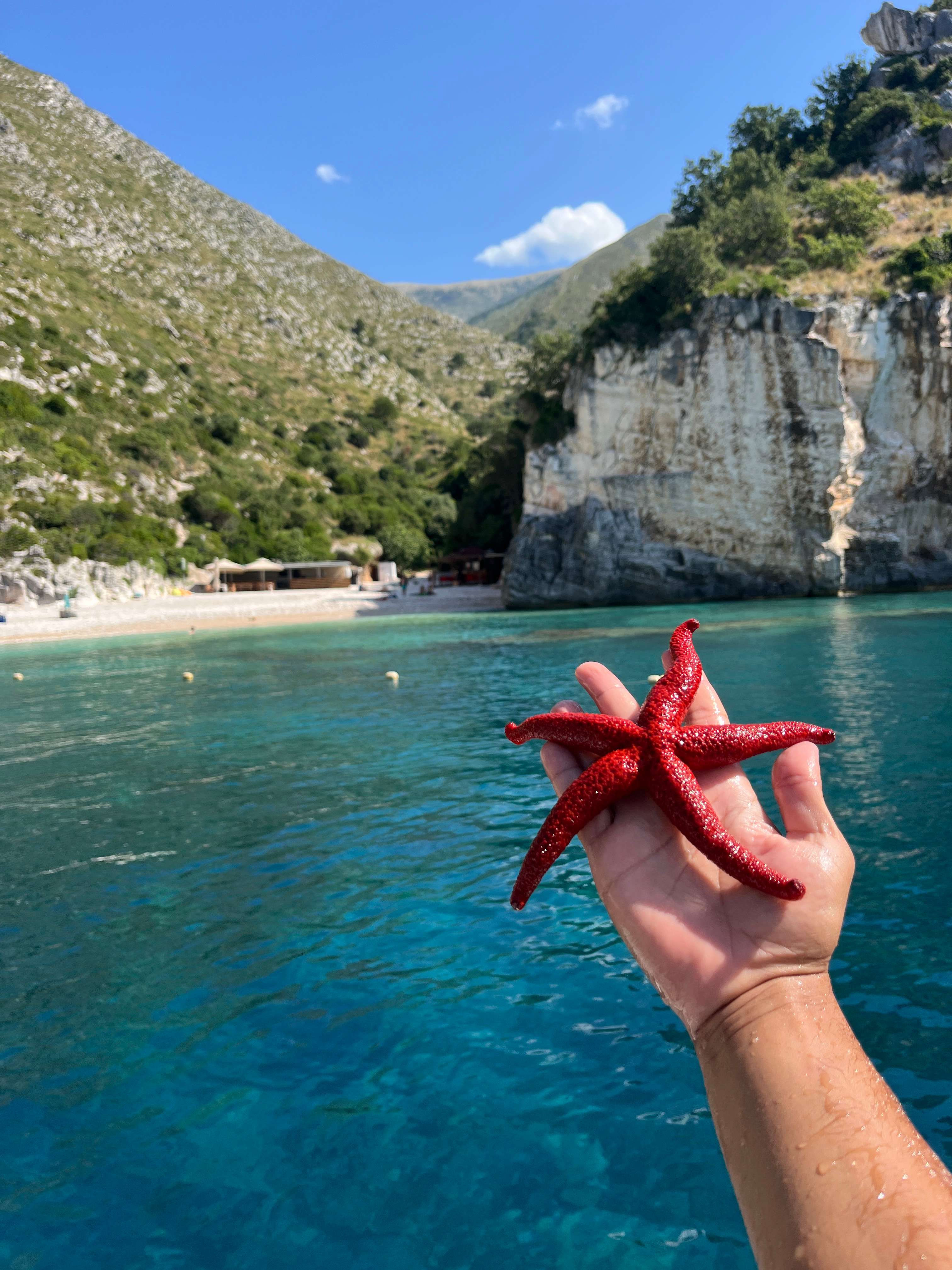 The Gramma Bay & Blue Cave Tour Tour Gallery Image 2