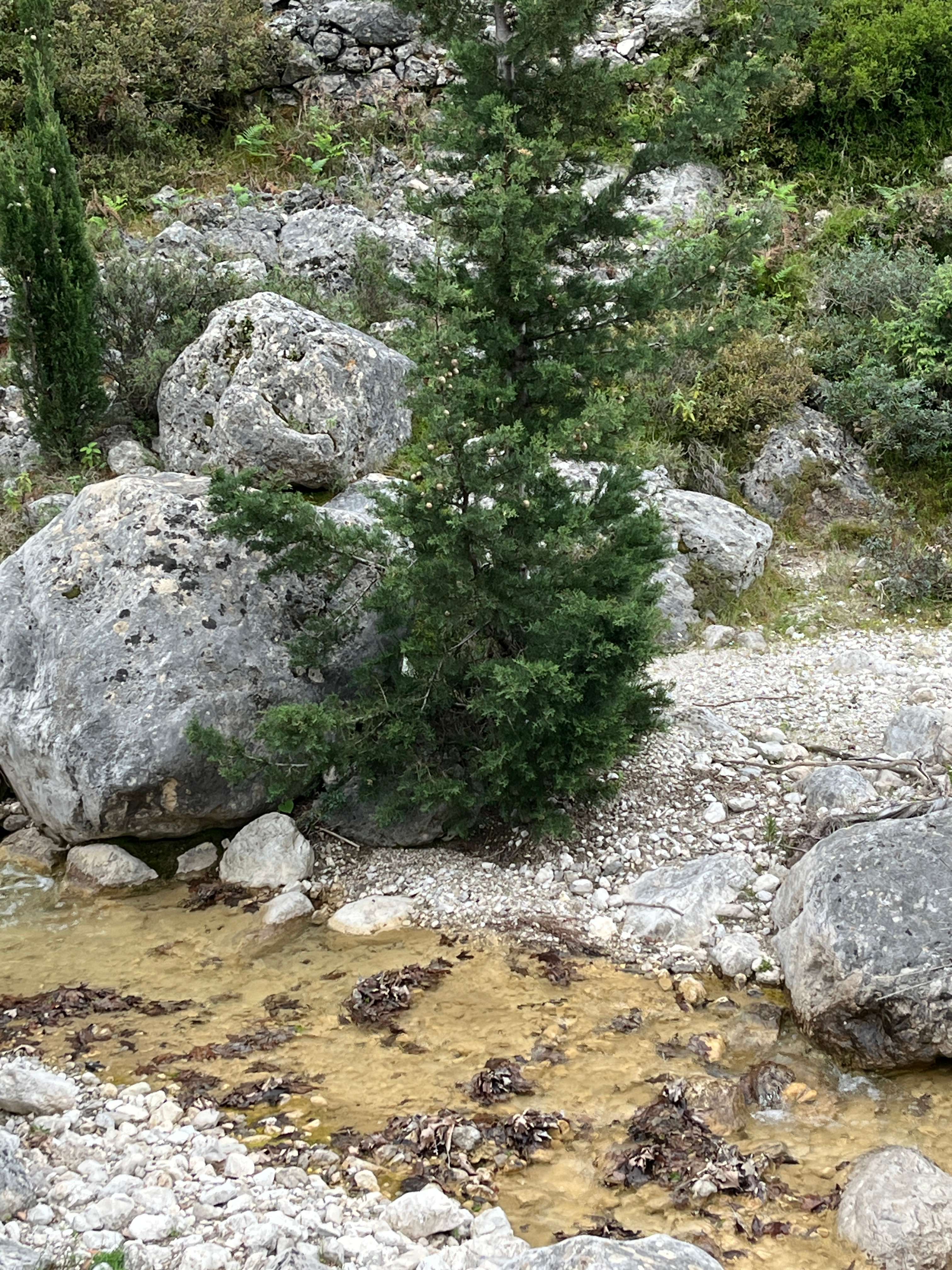 Hiking Expeditions Gallery Image 5